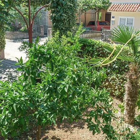 Ivka Vodice