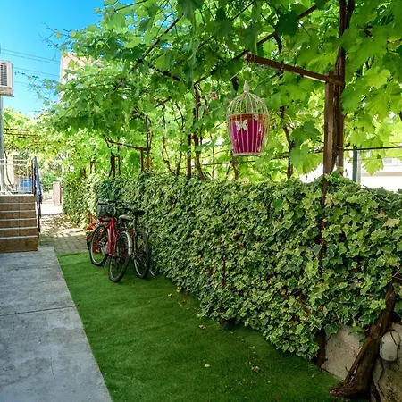 Apartment Ivka *